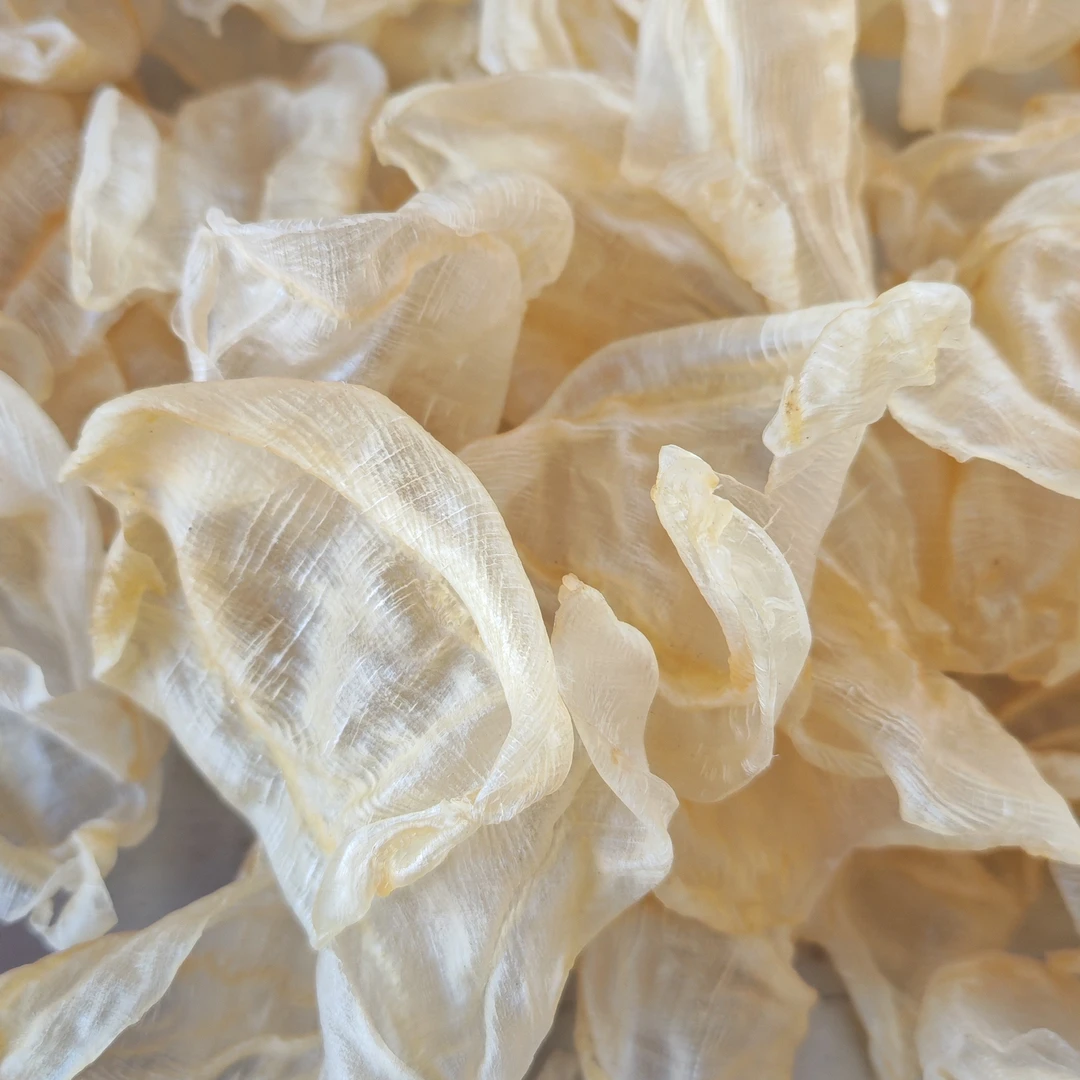 野生白花胶零腥味高端滋养佳品适合孕期产后炖汤炖奶