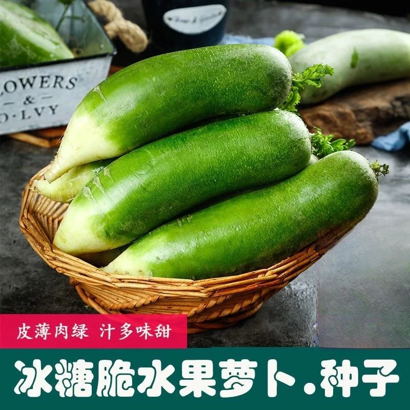 【冰糖脆水果萝卜种子】家庭阳台小院盆栽地栽四季种植