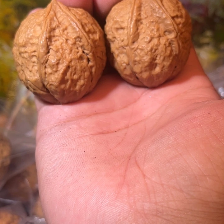 文玩核桃吊坠滇西50