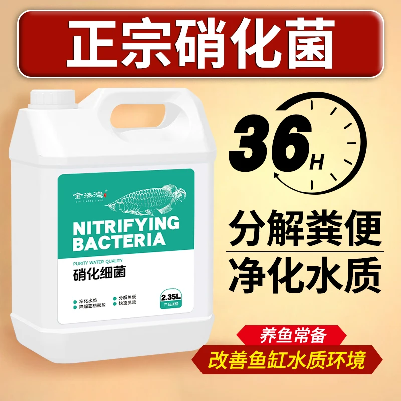 硝化菌水质稳定剂降解氨氮鱼缸专用净水剂观赏鱼养鱼养水净化水质