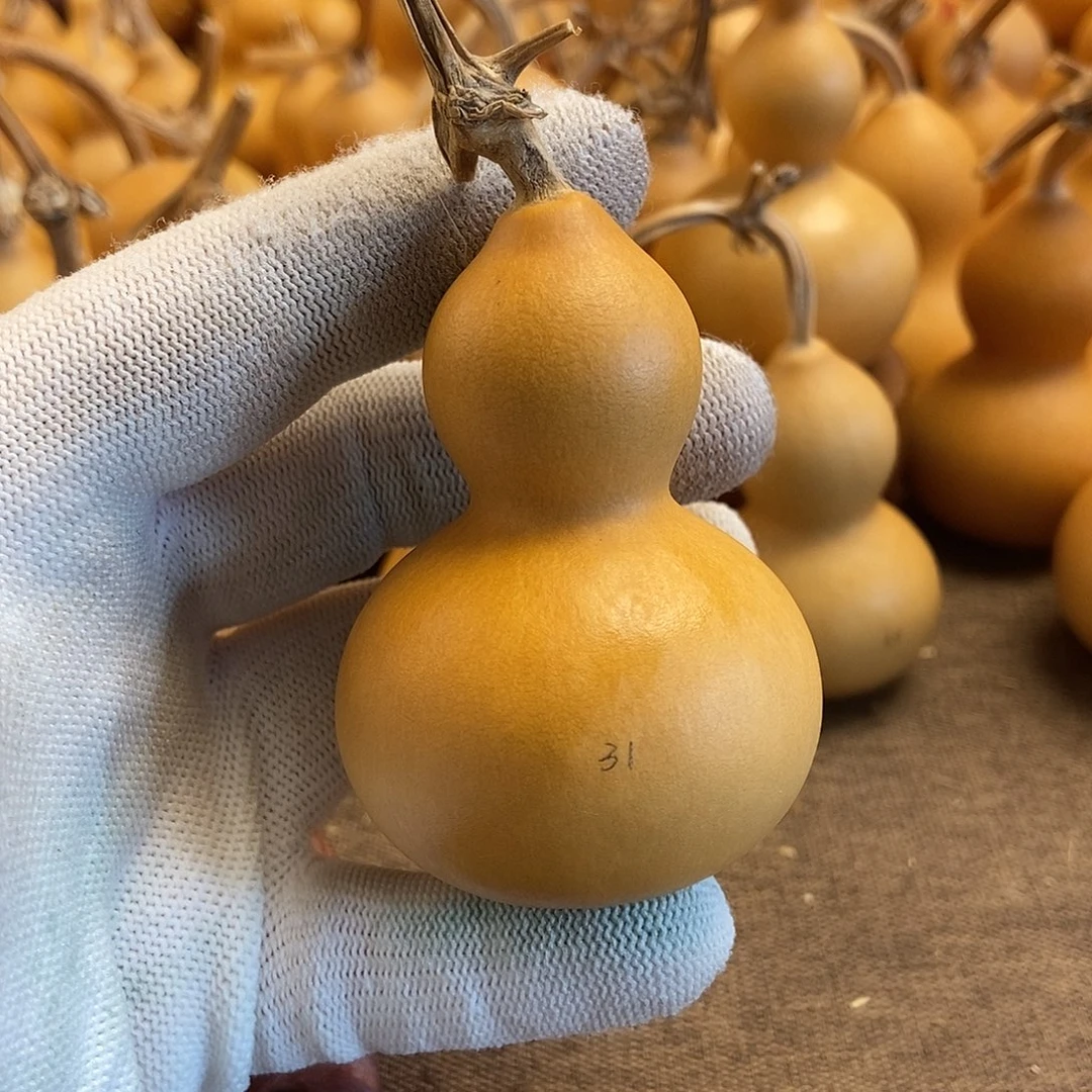 文玩葫芦 完美主义者 慎拍31