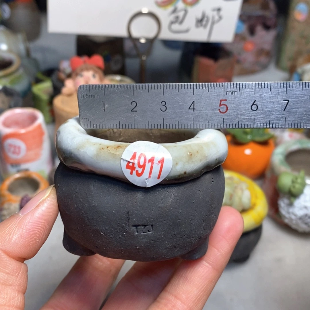 花盆拍3送一个小礼物