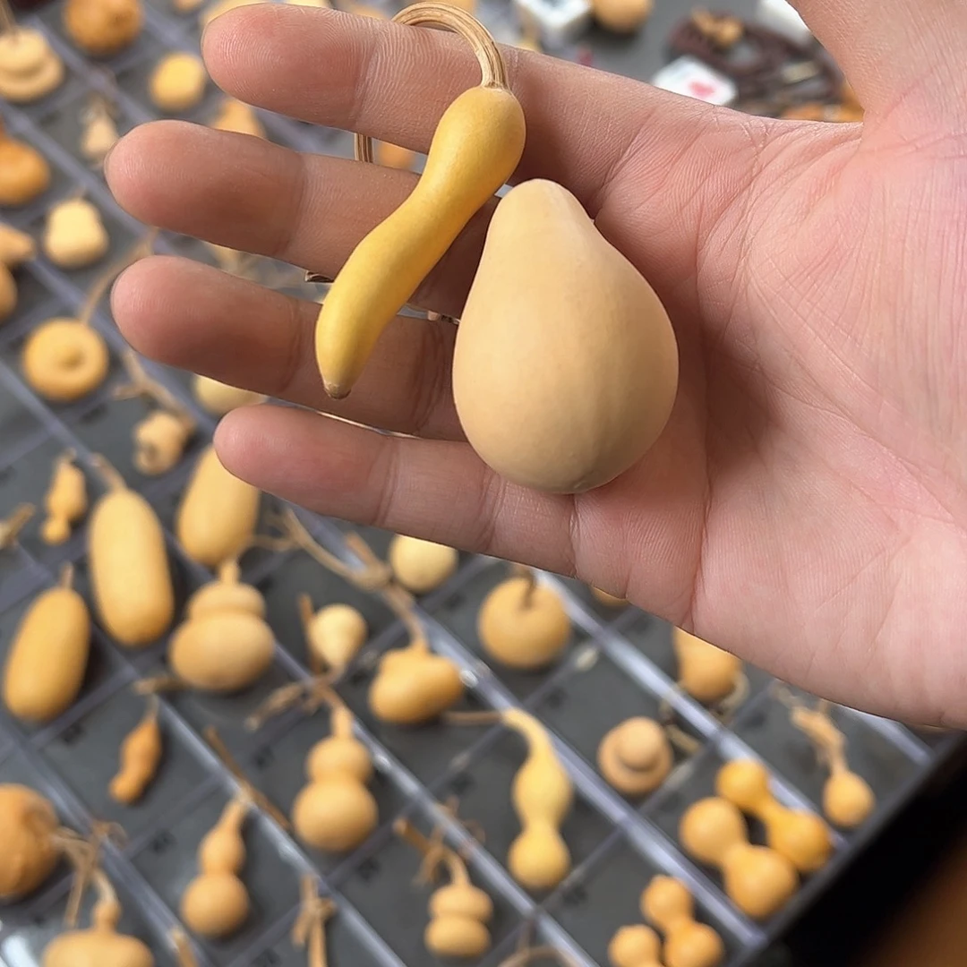 n****a葫芦娃的时候我也是