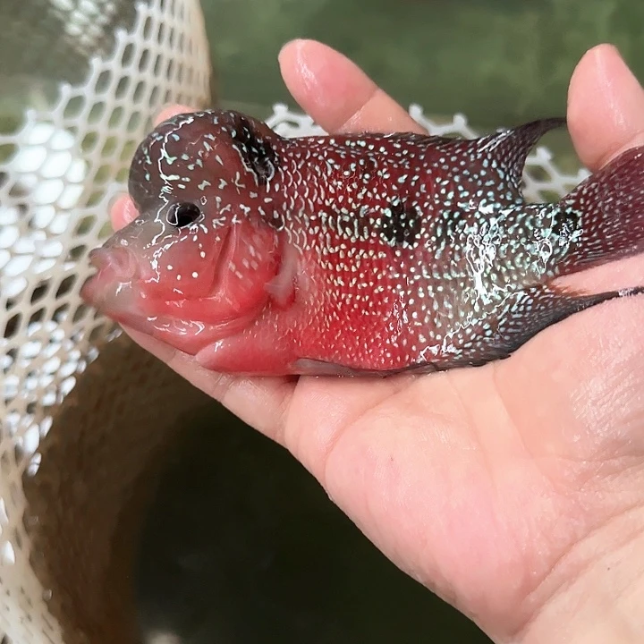 唯***有海水滚滚红尘想尝尝