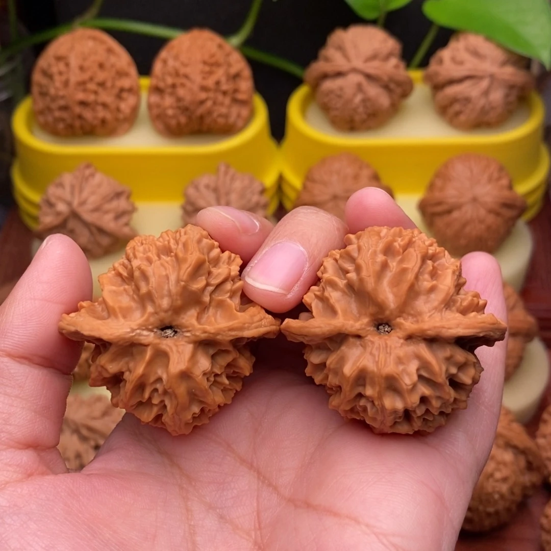 把件文玩核桃41“头茬”原桩苹果园