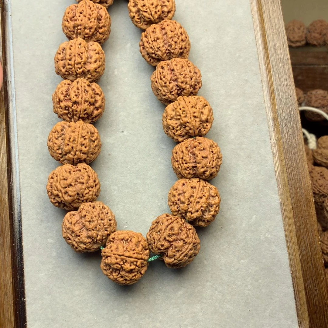 金刚菩提吊坠古龙梅花超头23.5尺