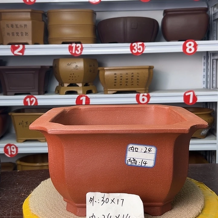 紫砂花盆蛇年大吉