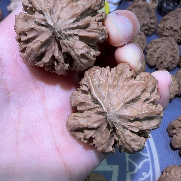 核桃秦岭文玩核桃12