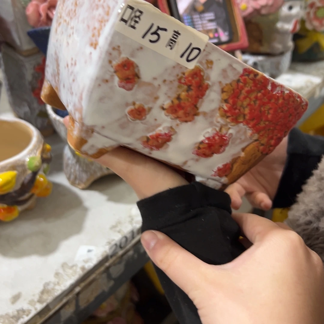 花盆，拍满20发货，退款拉黑