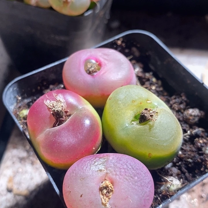 24168一组一组一组