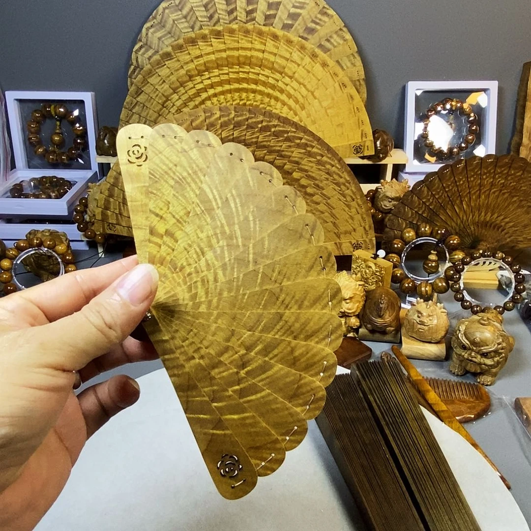 ****》金丝楠小叶桢楠10cm