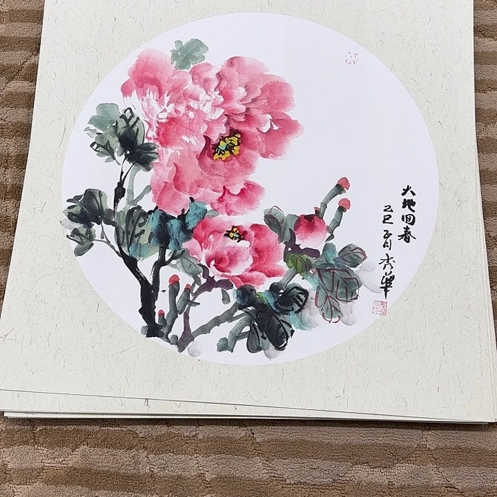 国画银**宝花鸟等多种鸟类和鸟类