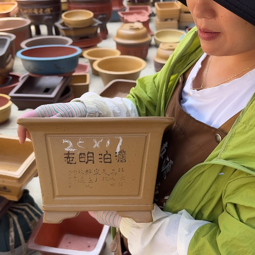 紫砂花盆盆景艺术
