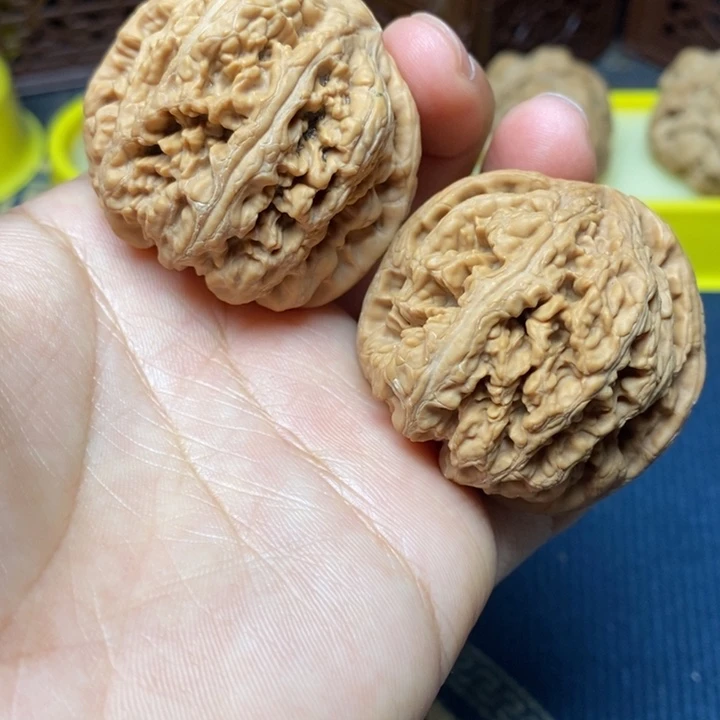 全品对歪大粗筋43