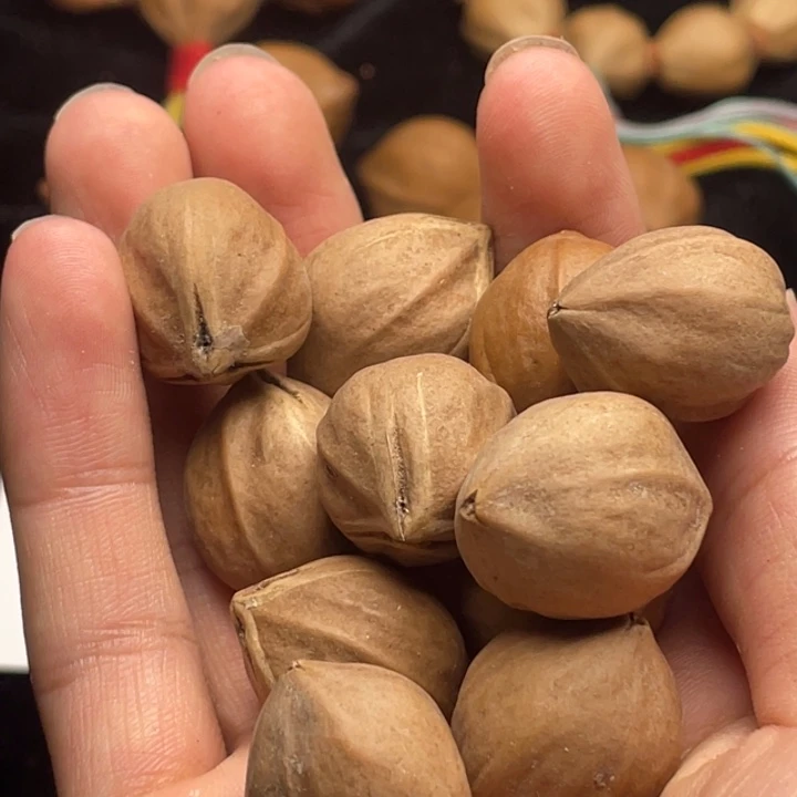 手串/手链橄榄核1.8