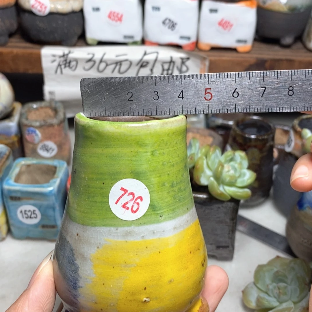 拍5送一个小礼物