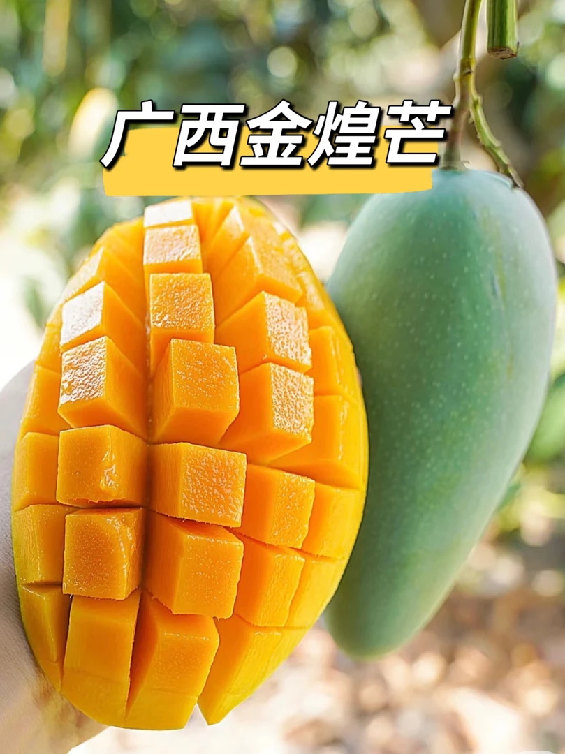 广西百色田东大青芒新鲜水果生熟两吃现摘现发