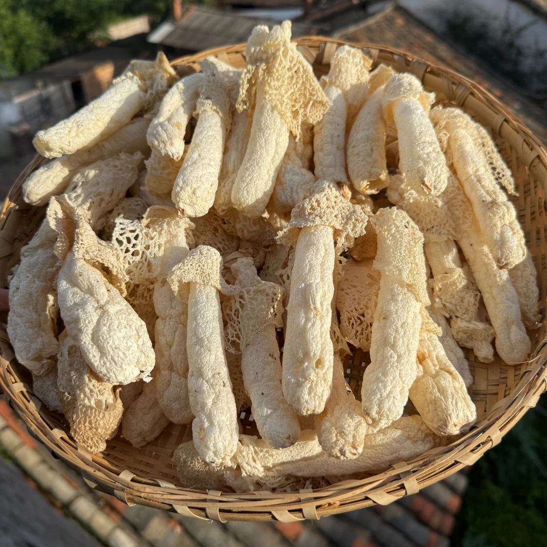 【肉头厚实】新货头茬红托竹荪煲汤精选干货白帽红托竹荪裙边短