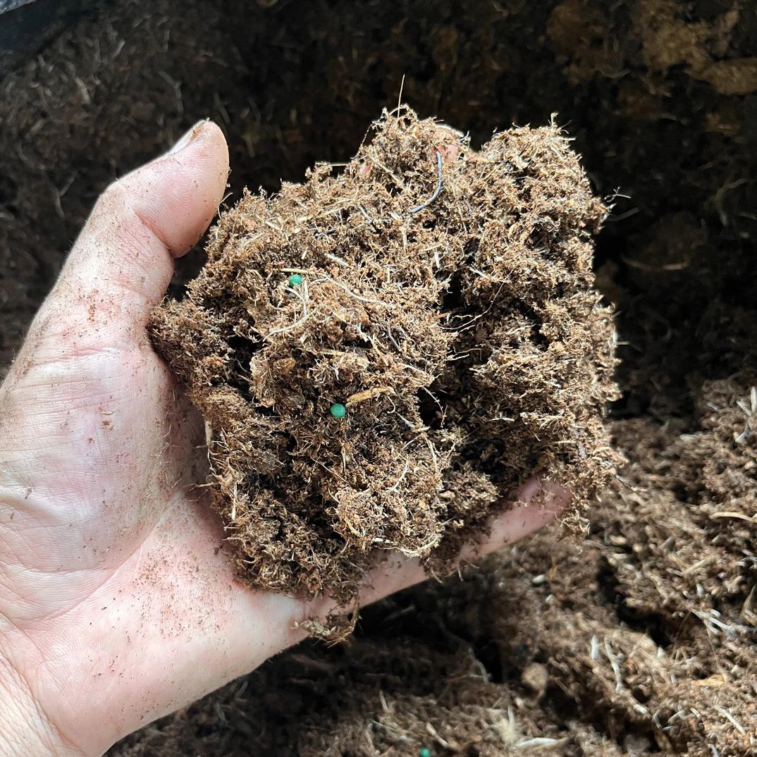 龟背竹专用配方泥碳土5.2斤约16升