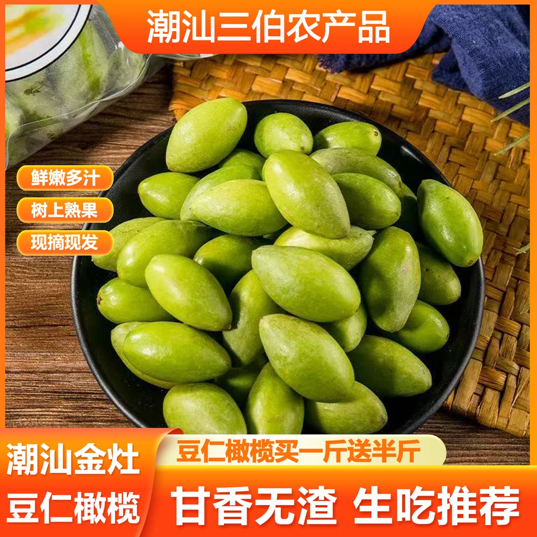 潮汕金灶豆仁橄榄青果新鲜采摘煲汤 泡酒 生吃一斤装