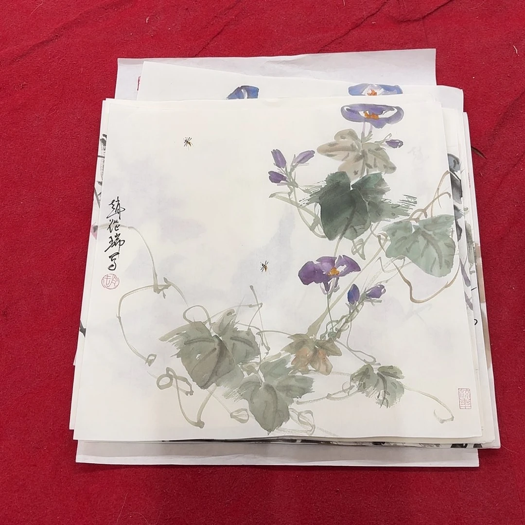 国画花鸟的翅膀是一个