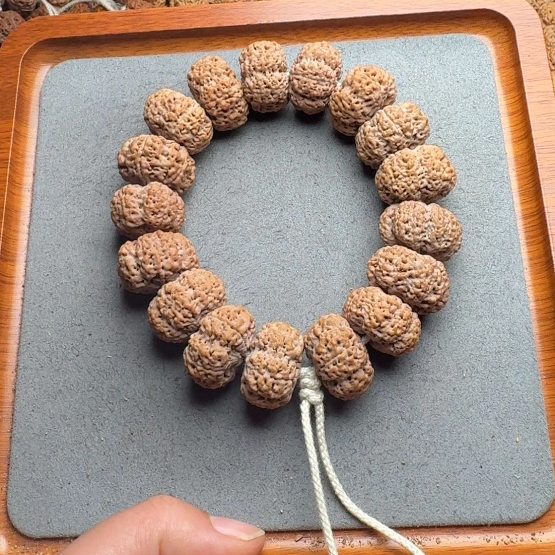 菩提菩提19号尼泊尔大金刚24夹板菠萝蜜