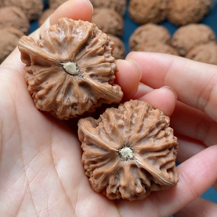 文玩核桃把件彡****然44宫灯