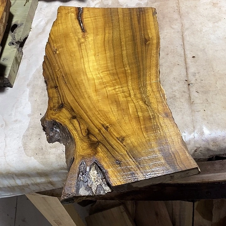 金丝楠木小叶桢楠木