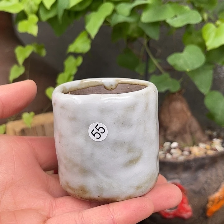 内口5外高6厘米左右