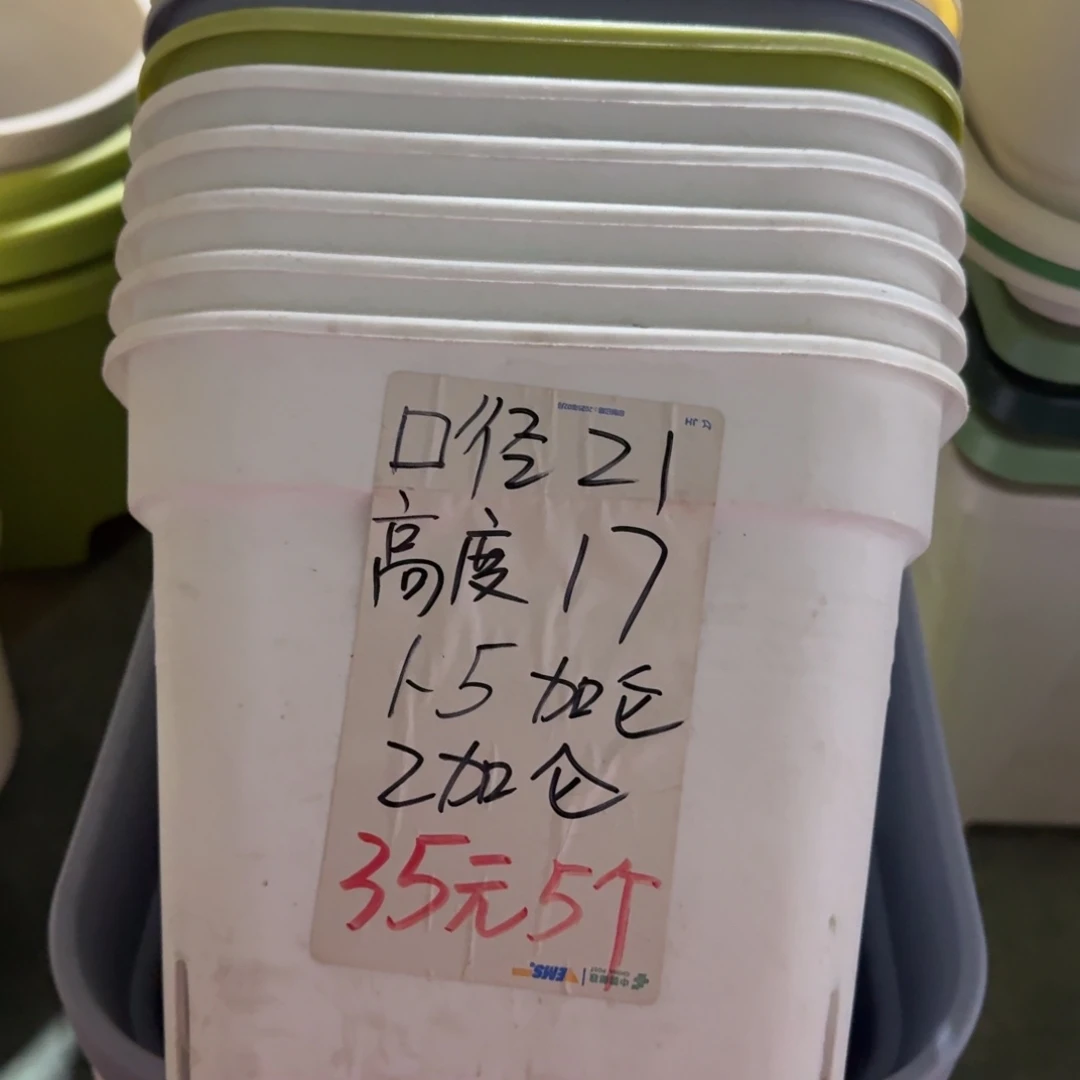 新款方盆口径21无拖果绿10个