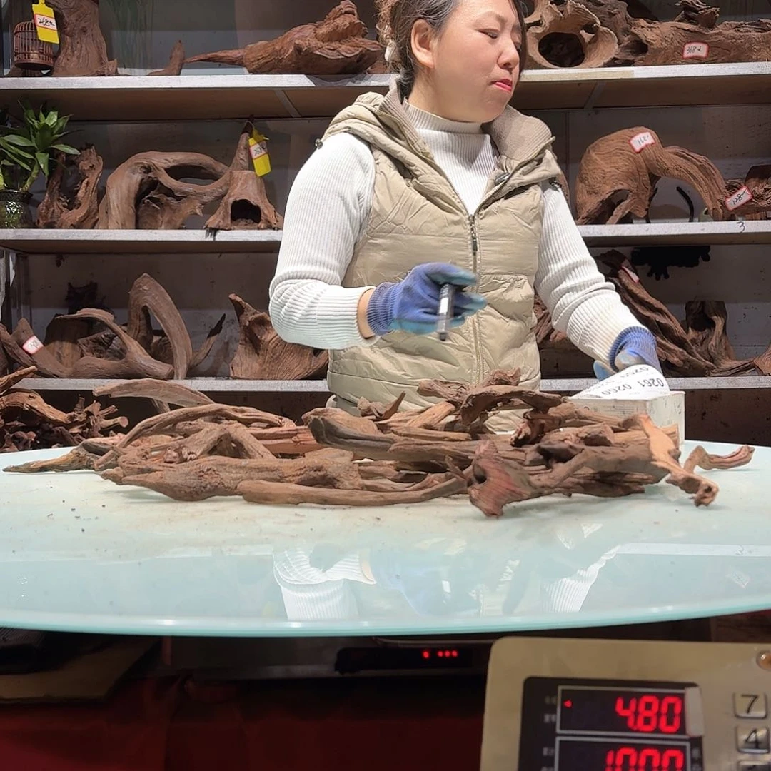 倍褚沉木不包损必褪色像*天0252紫柚枝条