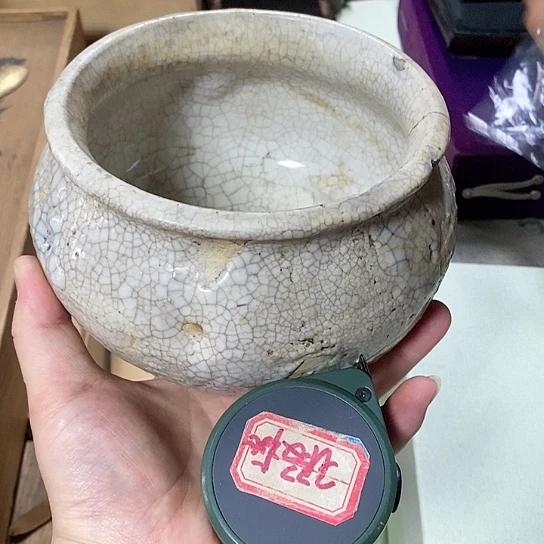 紫砂哈哈哈哈哈哈哈哈哈哈