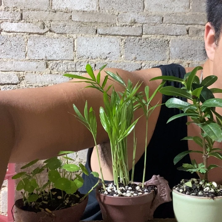 完全开放退款拉黑一物一拍165