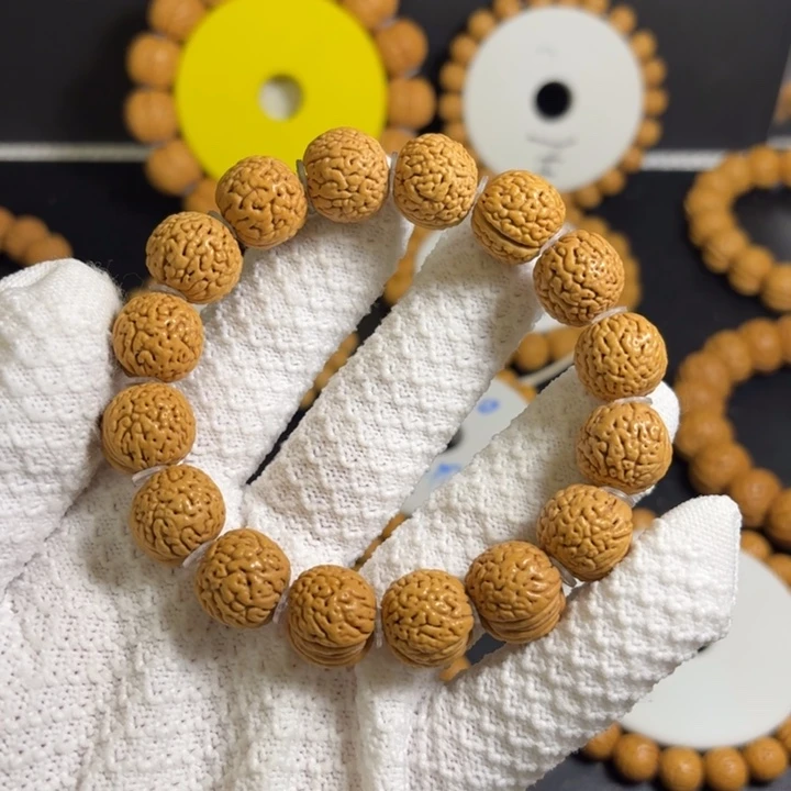 8号15尺寸野生龙鳞