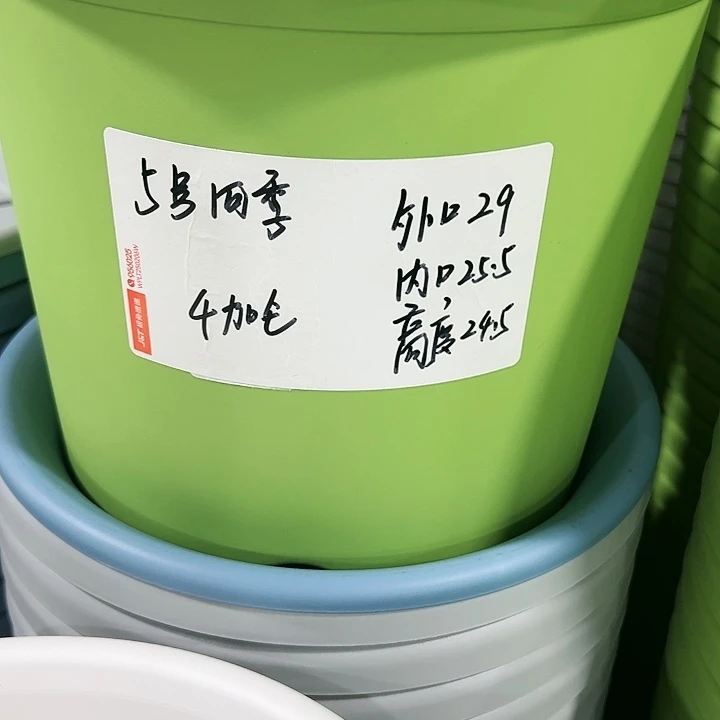 特价5号口29高24.5白色5只无托