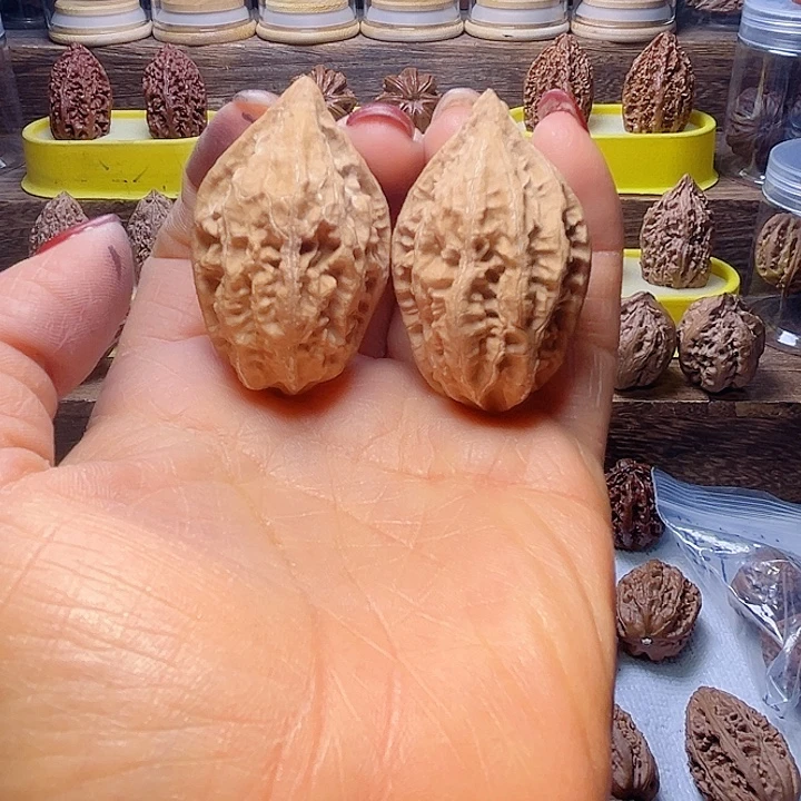 核桃14号车放漏漏漏漏