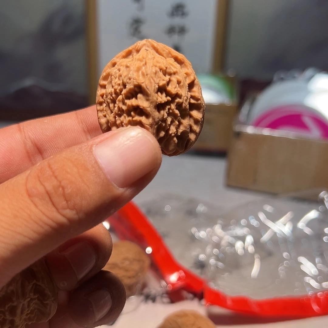 文玩核桃，狂暴白狮子