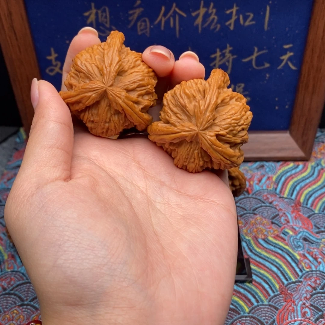 【闪购商品】秦**人白狮