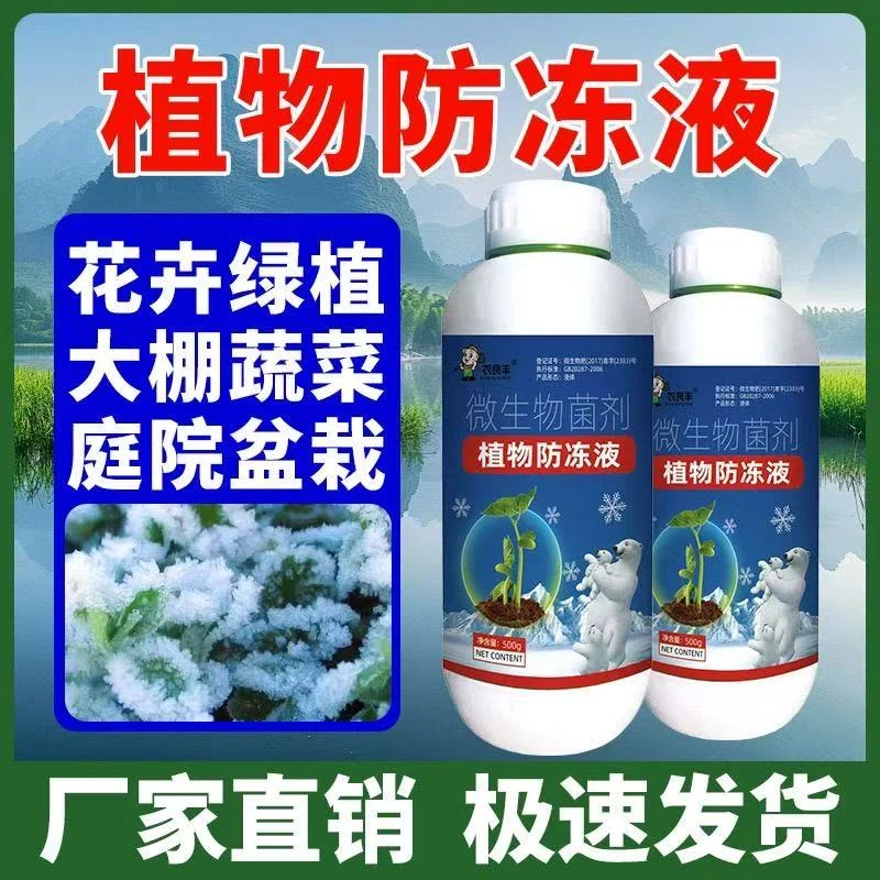 植物防冻剂果树大棚蔬菜小麦农用防寒抗冻低温促长植物抗寒防冻剂