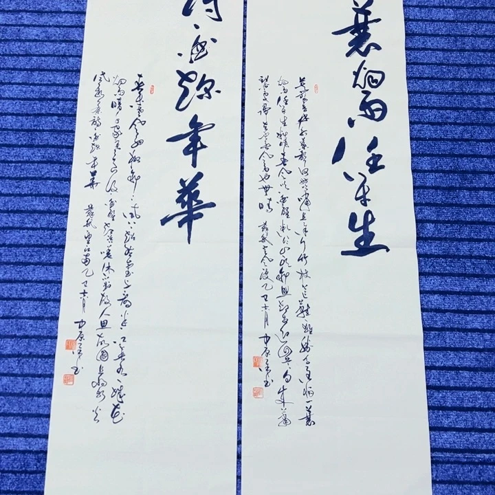 书法苏轼诗词双条屏