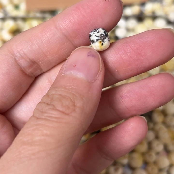 蜜蜡未镶嵌裸石8.1mm一个