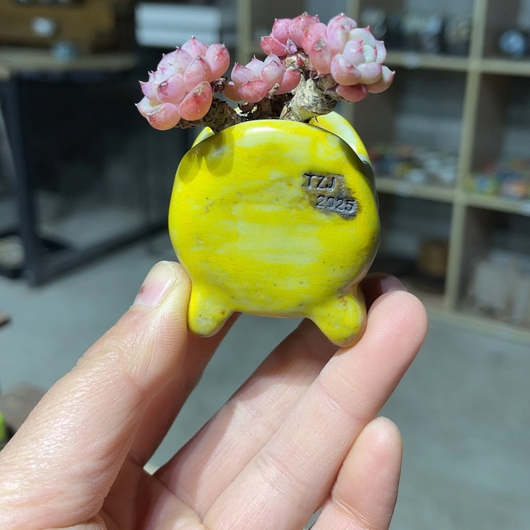 内口1.5-3高4厘米左右