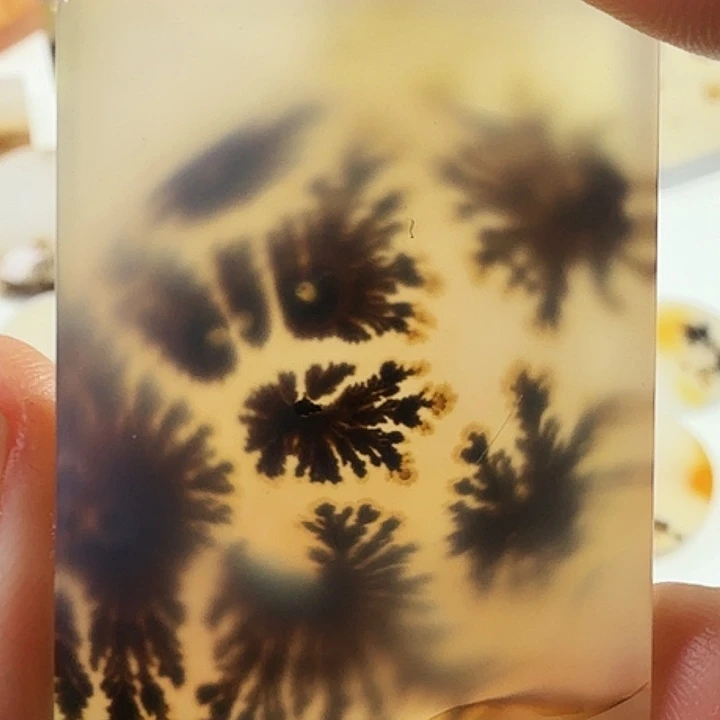 玛瑙/玉髓未镶嵌珠宝半成品