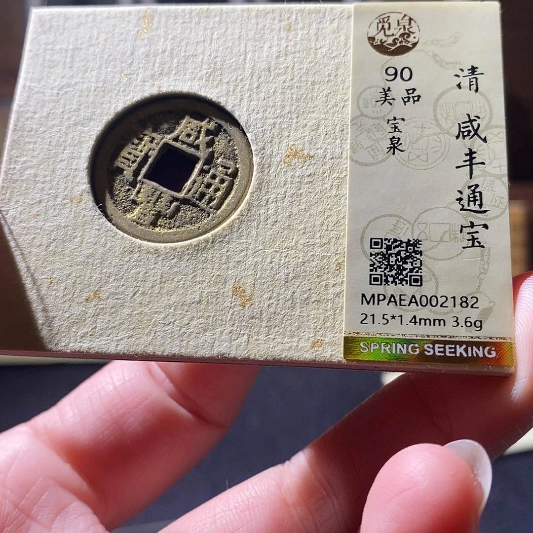 贝壳19 恭喜发财恭喜发财