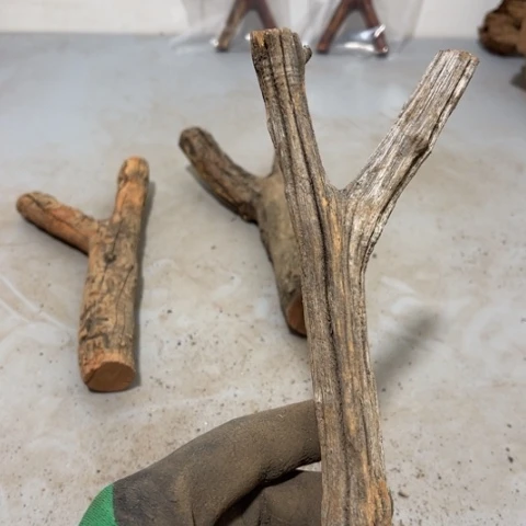 大果紫檀（缅甸花梨）?****?