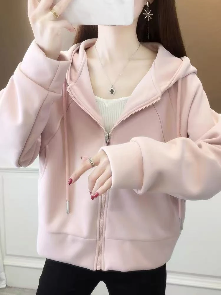 【段】秋季款拼接连帽时尚宽松极简风短款女装卫衣【非看直播勿拍】