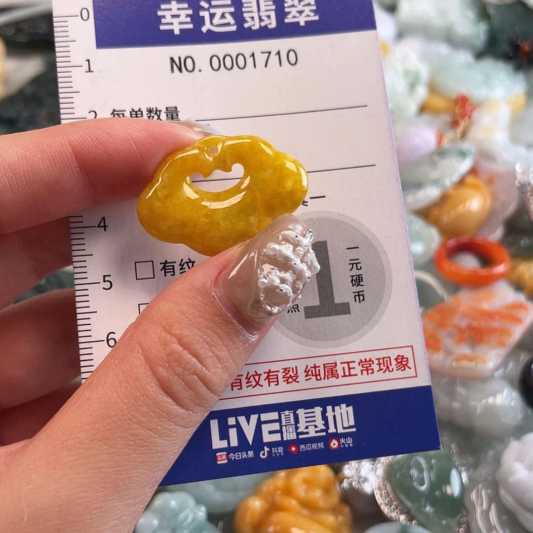 翡翠未镶嵌颈饰1710