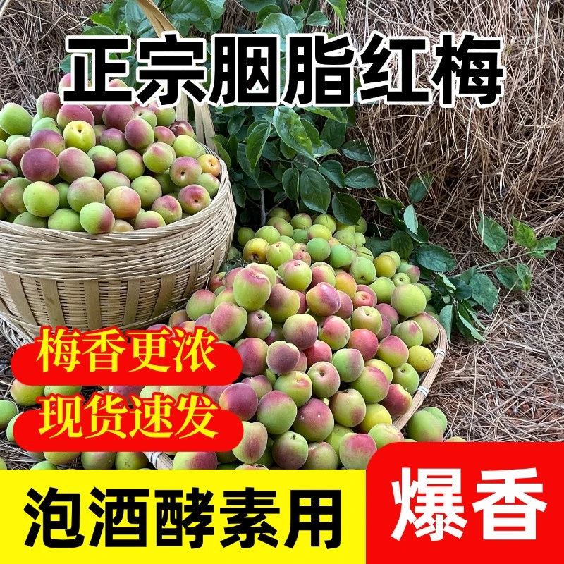 顺丰黑吉辽甘肃青海宁夏胭脂梅新鲜鲜果泡酒酵素青梅果红梅