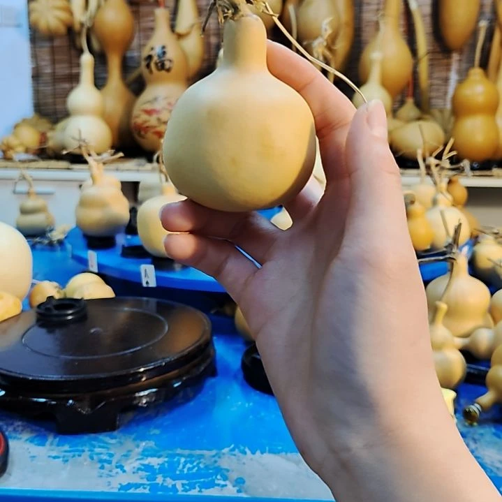 十*三他他他他他他他他他