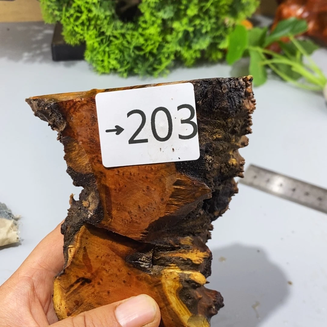 竹你****的麻梨疙瘩木